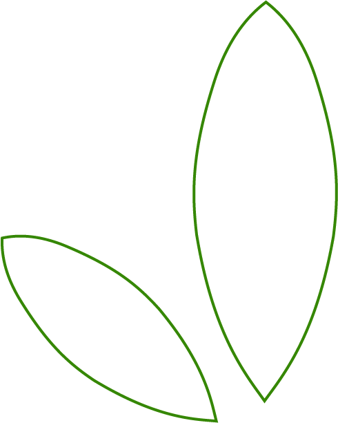 Mapflora