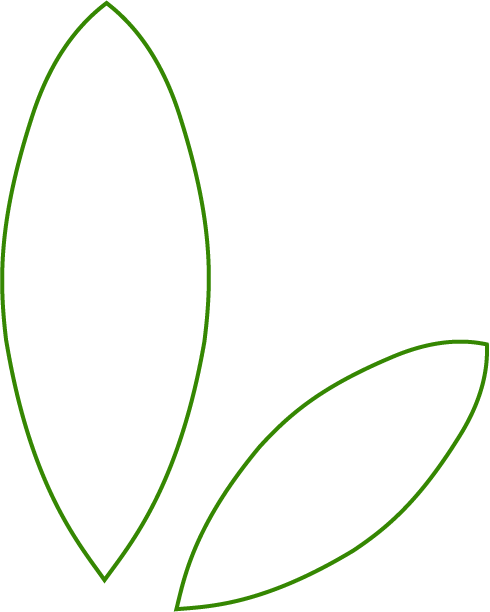 Mapflora