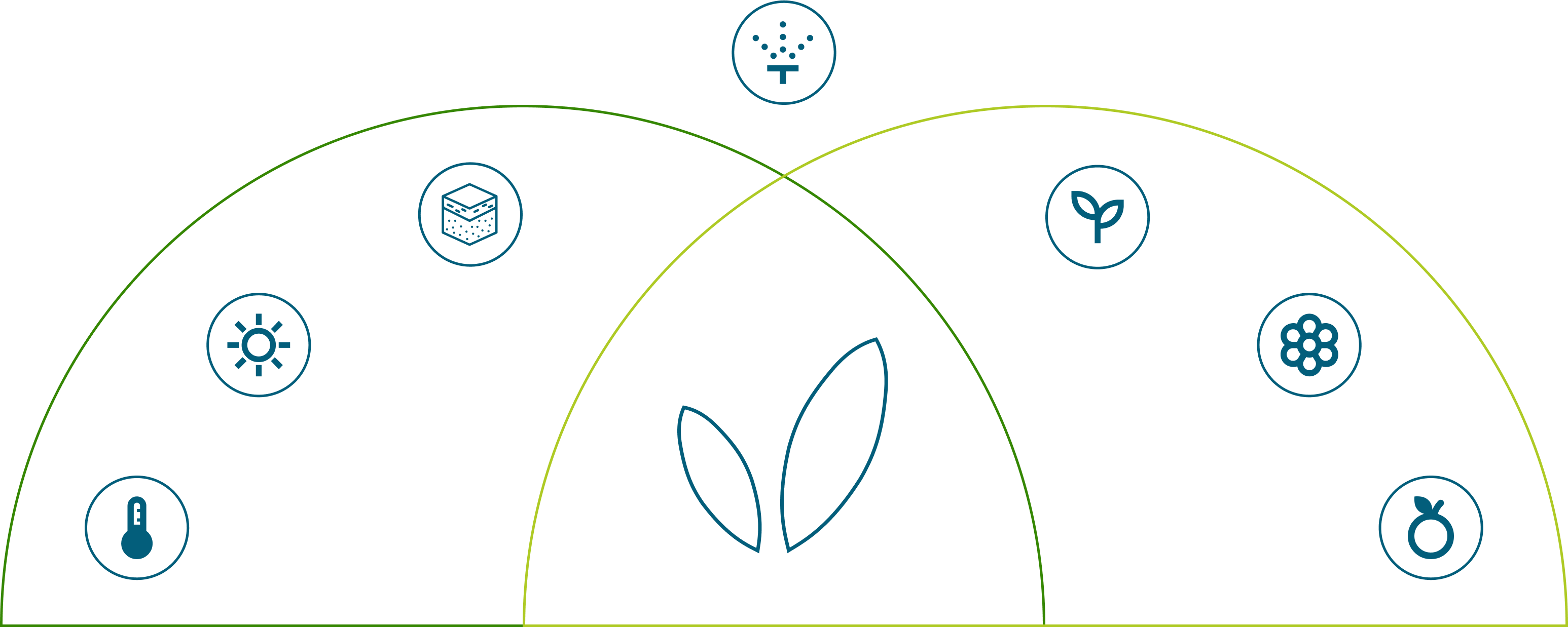 Crecimiento de plantas
