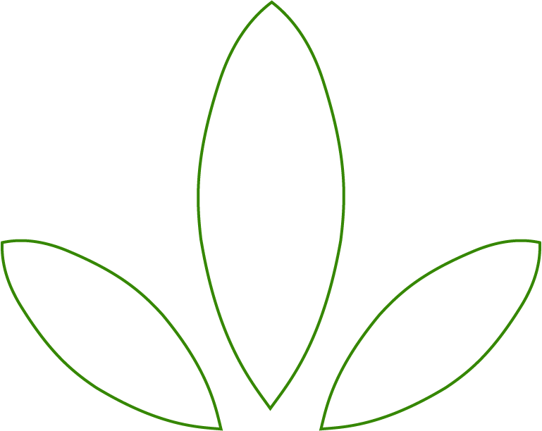 Que es mapflora